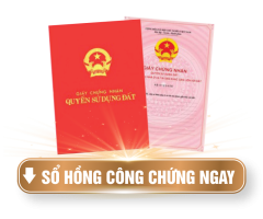 So-Hong-Cong-chung-ngay